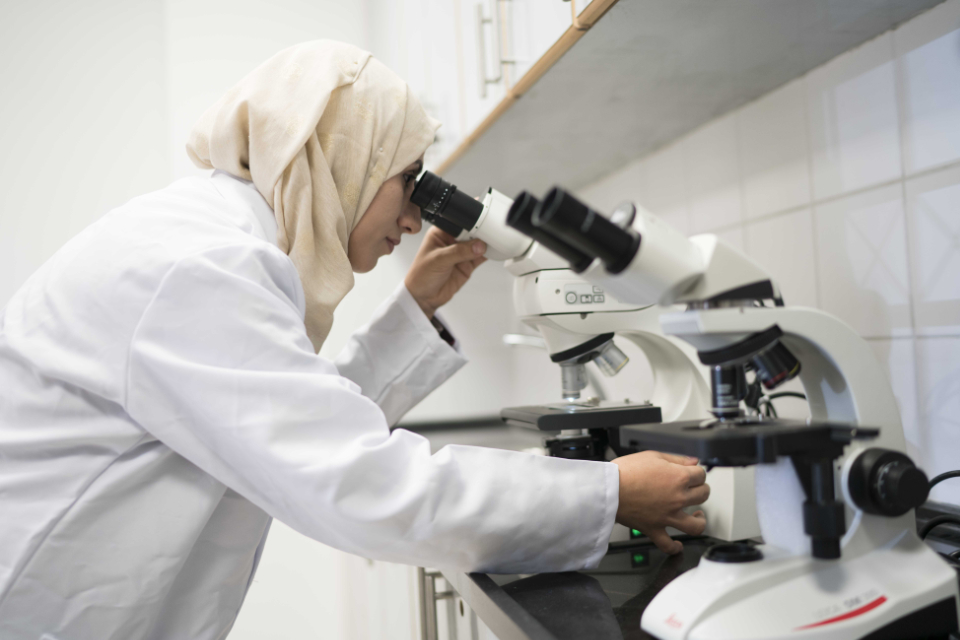 Helping survivors of violence seek justice through forensic science in the West Bank