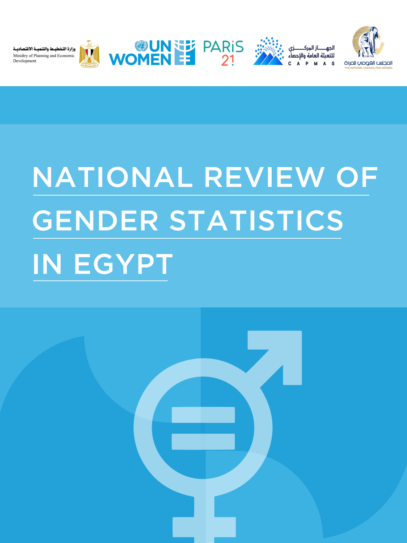 The National Review Of Gender Statistics In Egypt Publications Un Women Arab States 6809