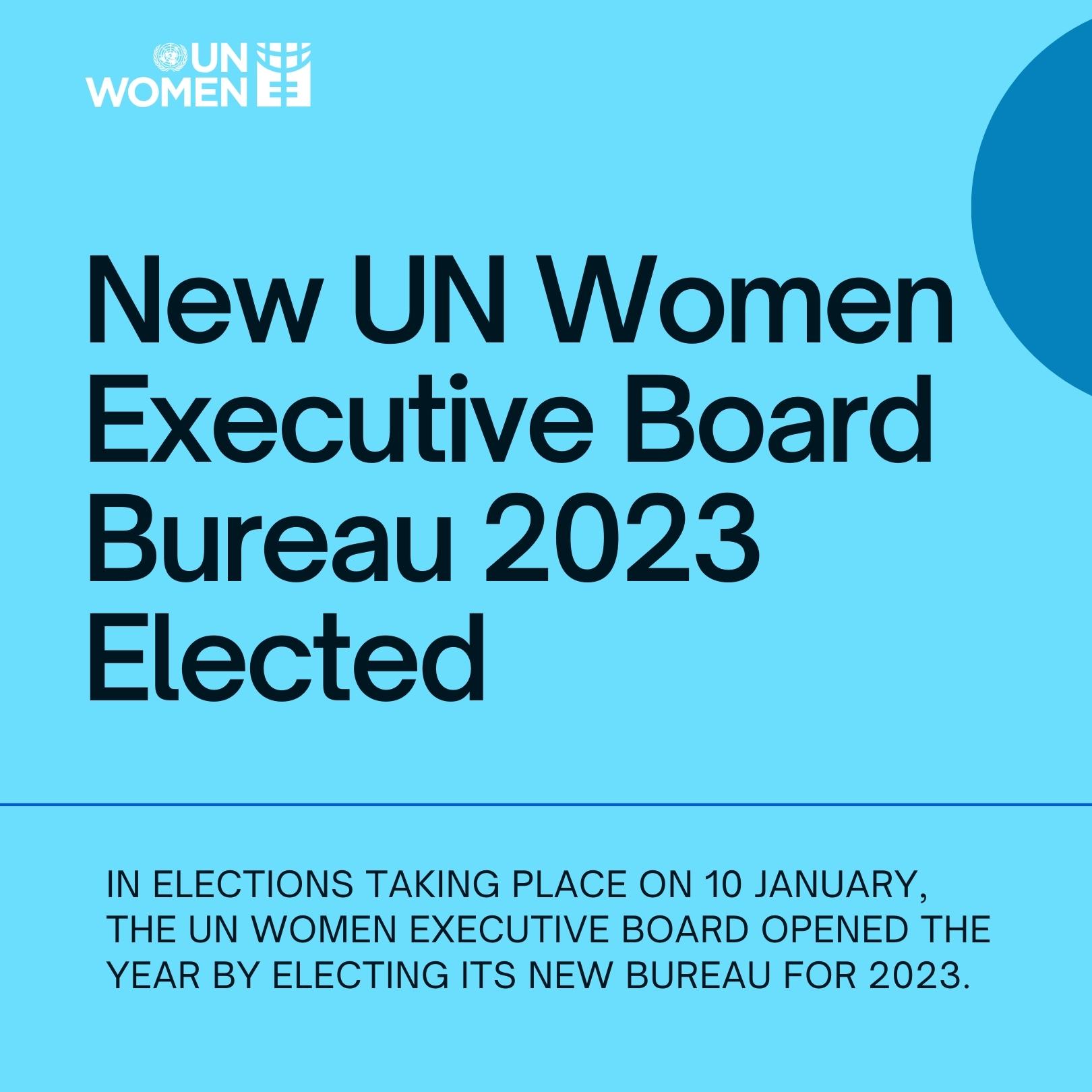 New UN Women Executive Board Bureau 2023 elected