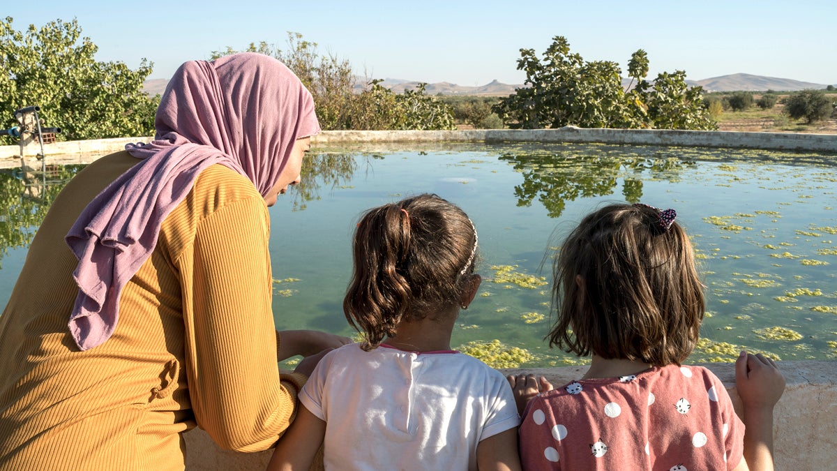 UN Women And Arab Water Council Release A Ground-breaking Study On ...