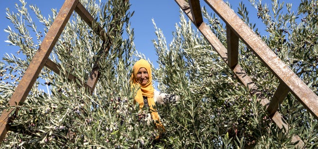 In Focus: UN Women Arab States at COP 28