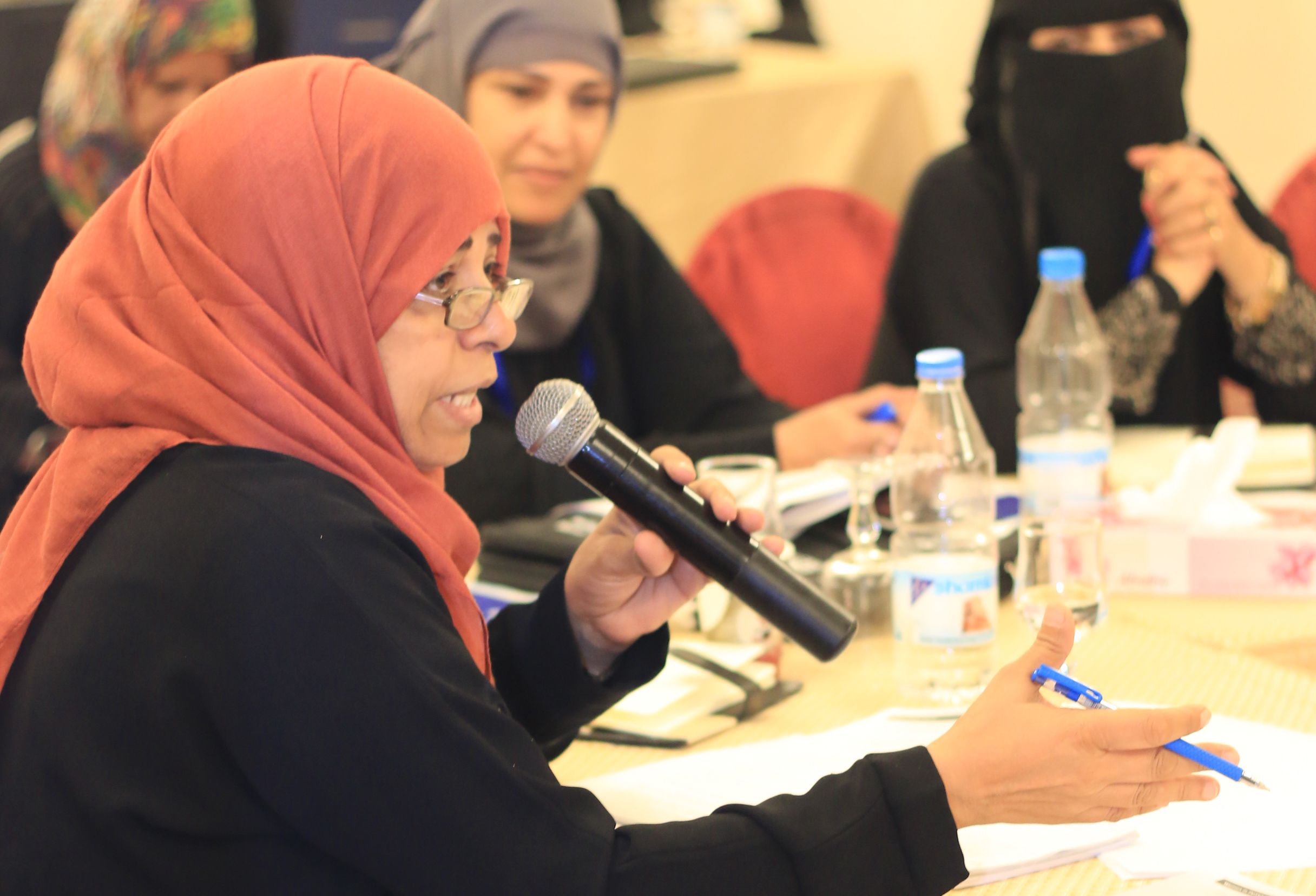 المنظمات النسائية اليمنية تتعلم وتتشارك الخبرات مع أقرانها في المنطقة | هيئة الأمم المتحدة للمرأة – الدول العربية