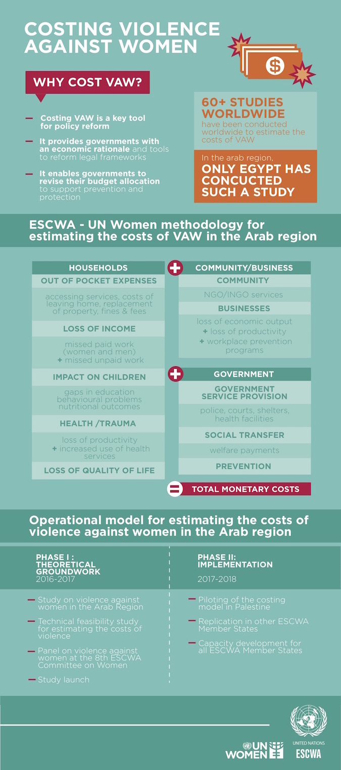 Costing violence against women. Why cost VAW?