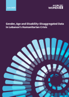 Gender, Age and Disability-Disaggregated Data in Lebanon's Humanitarian Crisis